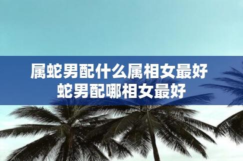 属蛇男最佳婚配属相（属蛇男和什么属相最合适）