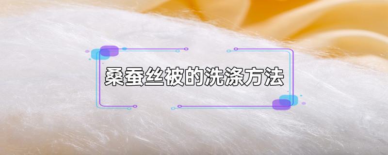 蚕丝被怎么洗涤和保养方法（和蚕丝被如何洗涤与保养）