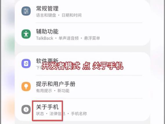 开发者选项在哪（在哪里可以打开开发者选项）
