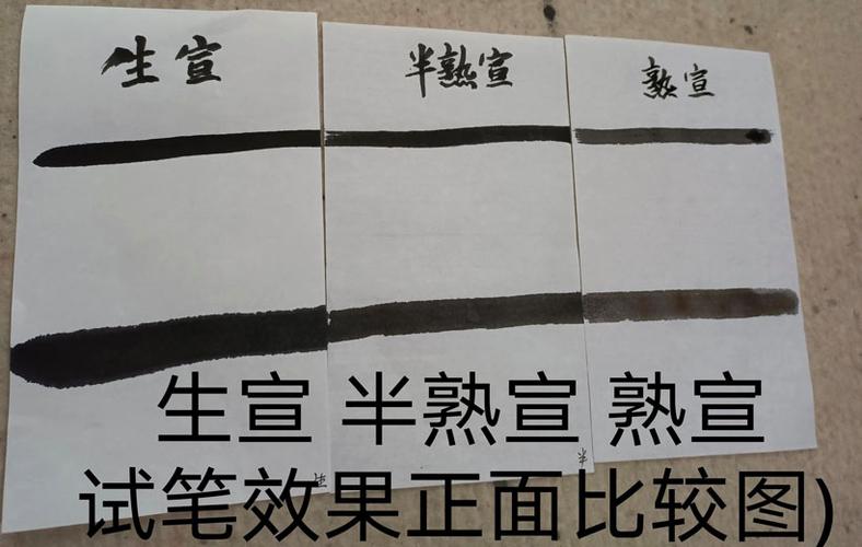 初学者用生宣还是熟宣（初学书法用生宣好还是熟宣好）