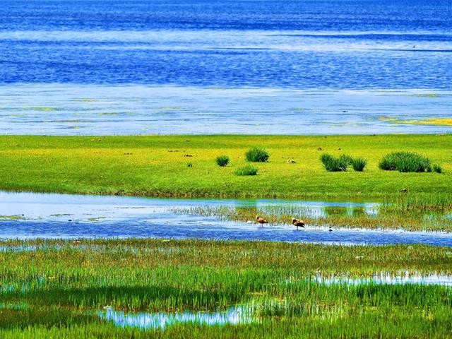 青海湖海拔高度（青海湖海拔多高）