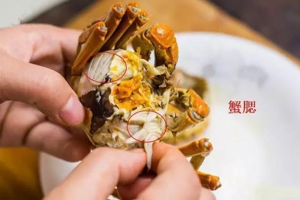 螃蟹怎么清洗和处理（螃蟹怎么清洗干净）