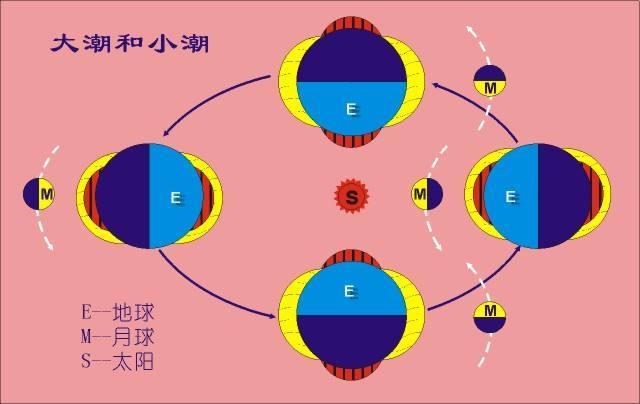 潮汐的形成原因（潮汐是什么原因引起的）