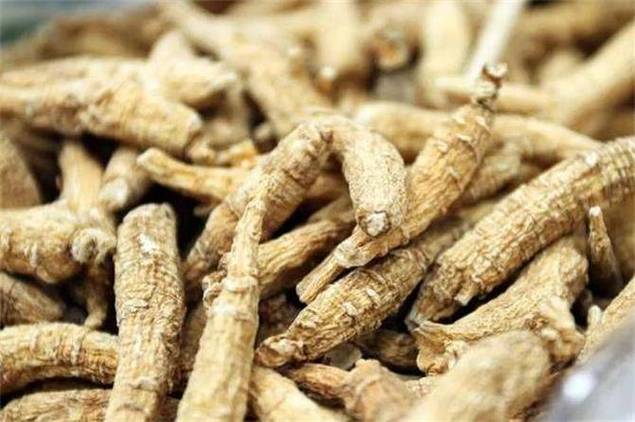 西洋参哪里产的最好（哪里产的西洋参品质最好）