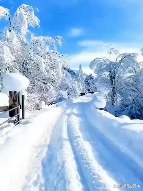 女人梦见厚厚的雪什么预兆（梦到雪很厚是什么征兆）