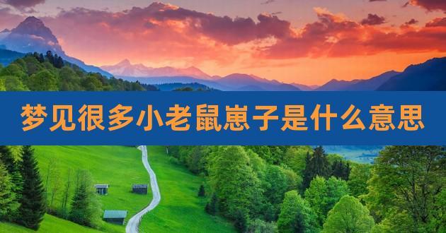 做梦梦见老鼠是什么意思（做梦梦见老鼠预示着什么）