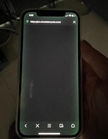 手机绿屏是怎么回事（手机绿屏是怎么回事如何解决）