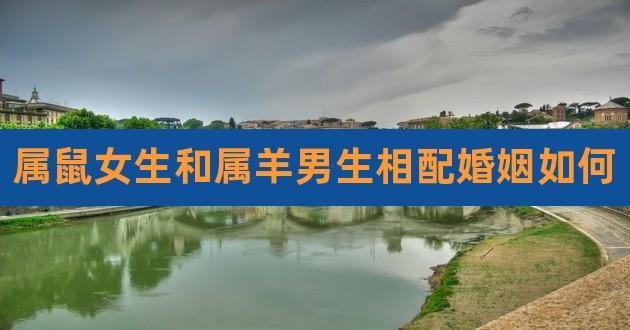 属羊的和什么属相最配（属羊的和什么属相最合适）