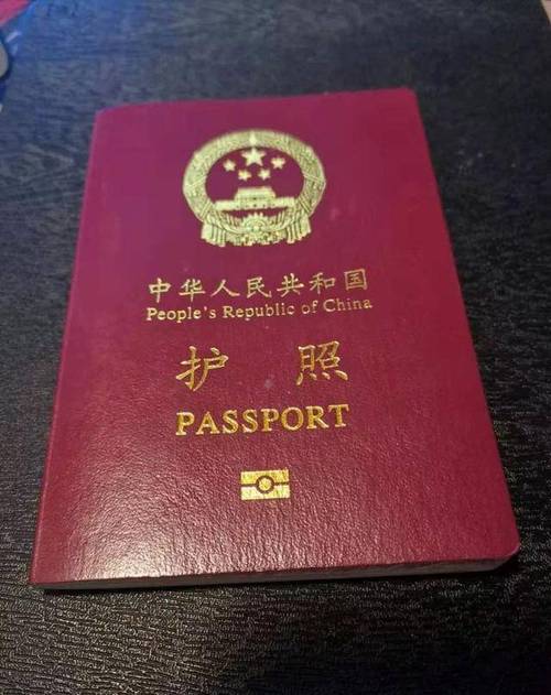 护照在哪里办理（护照在哪里办怎么办）