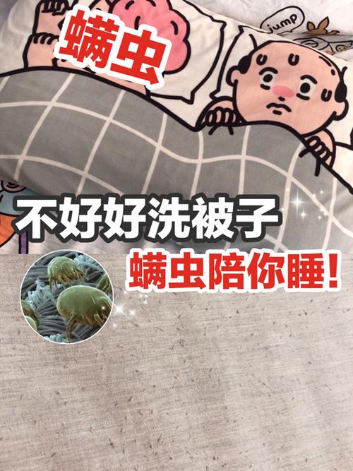 螨虫怎么去除最有效方法（如何消除螨虫最有效的方法）