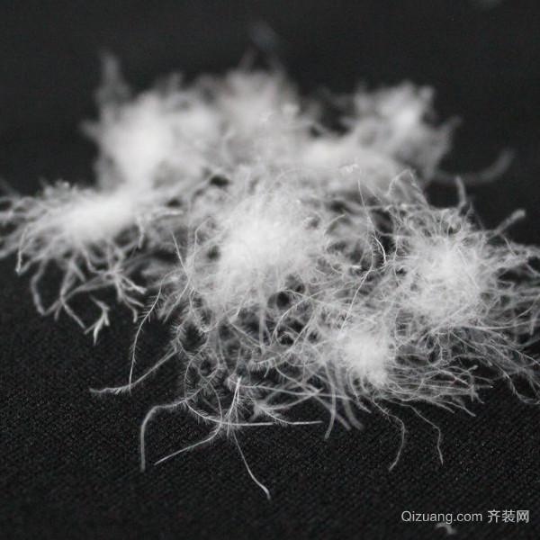 鸭绒和鹅绒哪个好（鸭绒和鹅绒的区别哪个更好）