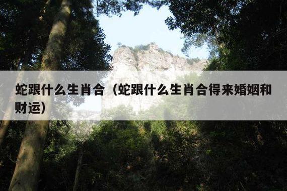 属蛇和什么属相最配（属蛇最佳婚配对象是什么属相）