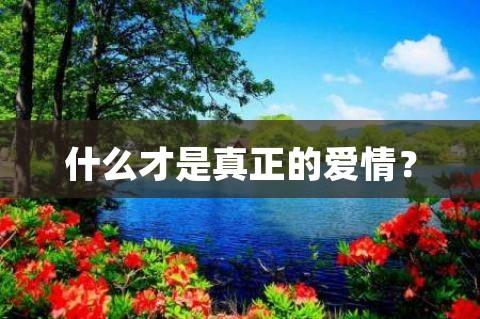 什么是真正的爱情（真正的爱情是什么样的）