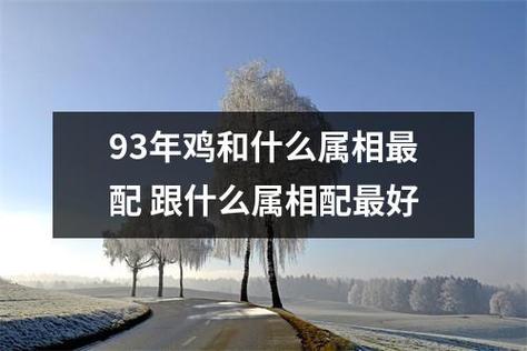 属鸡和什么属相最配（属鸡的人和哪些属相在一起最配）