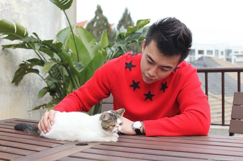 喜欢养猫的男人是什么性格（养猫的男人性格好不好）