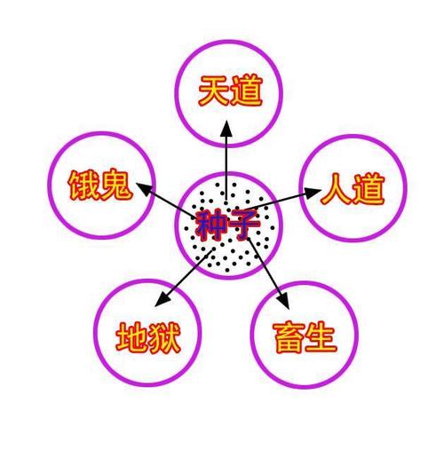 投胎到哪家是谁决定的（投胎到哪家是谁决定的再生人）