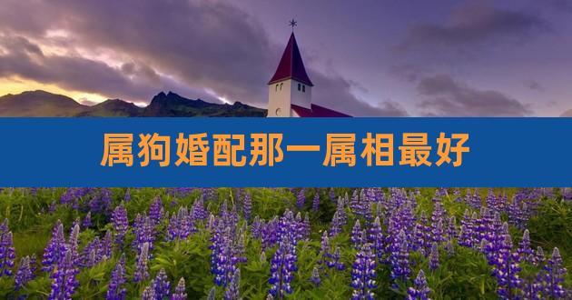 属狗的和什么属相最配（属狗的和什么属相在一起最合适）