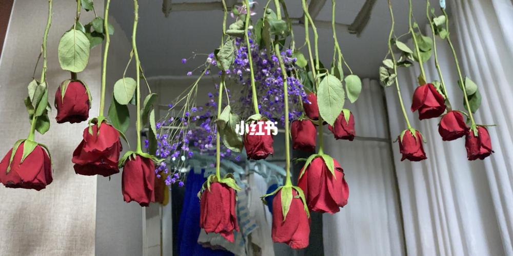如何制作干花（自己如何制作干花）